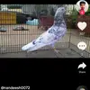 Deepa Dave - @prajwalprajju046 - TikTok