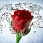 Deepa Devadas - Facebook