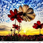 Deepa Doshi - @deepa.doshi.3060 - Instagram