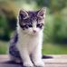 Deepa Ganesan - Facebook