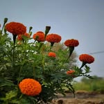 Deepa Ghosh - @deepaghosh285 - Instagram