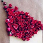 Deepa Gopu - @g.deepa.1 - Instagram