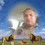 Deepa Grewal - @grewald040 - Instagram