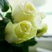 Deepa Jose - Facebook