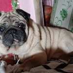 Deepa Joseph - @deepa.joseph.3538 - Instagram