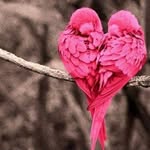 Deepa Kasiviswanathan - @deepakasiviswanathan - Instagram