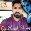 Deepak Asiwal - @deepakasiwal0 - TikTok