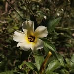 DEEPA HISTORIAN - @deepamanikandan__5181 - Instagram