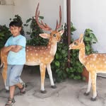 deepa mathur - @deepamathur2 - Instagram