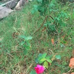 Deepa Nagar - @deepanagar576 - Instagram