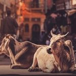 Deepak kalra - @deepak__kalra__ - Instagram