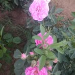 Deepak Parikh - Facebook
