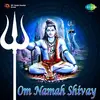Deepak_Parikh - @Deepak_Parikh - TikTok