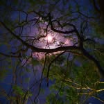 Deepak Parmar - @deepak_parmar2012 - Instagram