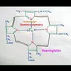 Deepak_Suri - @Deepak_Suri - TikTok