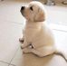 Deepali Bhatia - Facebook