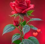 Deepali Garg - Facebook