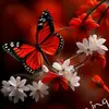 deepthy prakash - @deepthiprakash123 - TikTok