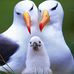Deepthi Reddy - Facebook