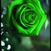 Deidra Moore - Facebook