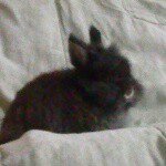 Deirdre Ryan - @deirdre.ryan.756 - Instagram