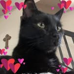 Deidre Lynn Burkey-Sorrell - @deidre.burkey - Instagram