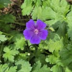 Deirdre Carey Synnott - @dcareysynnott - Instagram