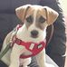 Deirdre Carey Tiernan - Facebook