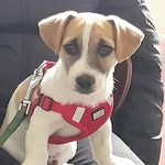 Deirdre Carey Tiernan - @deet12 - Instagram