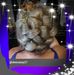 Deirdre Casey - Facebook