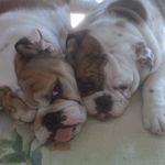 Deirdre Casey Kramer - @deirdrecaseykramer - Instagram