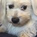 Deirdre Chamberlain - Facebook