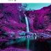Deidre Clark - Facebook