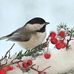 Deidre Cline - Facebook