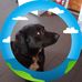Deirdre Conway - Facebook