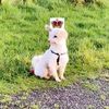 Deirdre Conway - @weediddles - TikTok