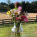 Deidre Cooper - Facebook