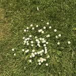 Deirdre Dalton - @teddie999 - Instagram