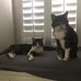 Deidre Dodd - Facebook