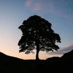 Deirdre Dodd - @dodd.deirdre - Instagram