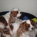 Deidre Doughty - Facebook