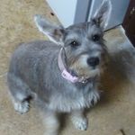 Deidre Dunham - @purplebear68 - Instagram