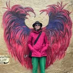 Deirdre Lyons - @deirdrelyons1 - Instagram