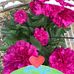 Deidre Morris - Facebook