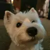 Deidre Olson Biondo - @deidreobiondo - TikTok