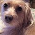 Deidre Young - Facebook