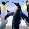 deirdrebutler35 - @deirdrebutler35 - TikTok