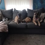 Deirdre Cahill - Facebook
