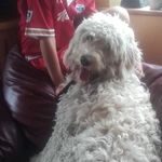 Deirdre Connolly - @deirdre.connolly.963 - Instagram