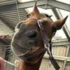 deirdreconnolly16 - @deirdreconnolly16 - TikTok